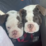 Jim guinn - @jguinn5013 - Instagram