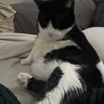 Jim Gunn - @spyness2 - Instagram
