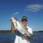 jim gunn - @1bowhunter52 - Instagram