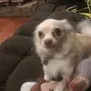 Jim Guy - @jim.guy2 - TikTok