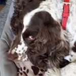 Jim  Hadley - @insideoutside242 - Instagram