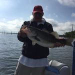 Jim Hammond - @jim.hammond.376 - Instagram