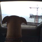Jim Hammond - @jim.hammond1 - Instagram