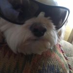 Jim Hampton - @aflyfishingfool - Instagram