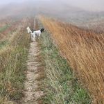 Jim Hankins - @hankins5764 - Instagram