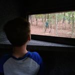 Jim Hankins - @jim_hankins - Instagram