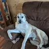 jimbo - @jimhankins4 - TikTok