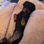 Jim Hardman - @jimhardman1961 - Instagram