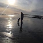 Jim Harman - @jimborolo - Instagram