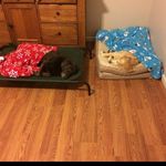 Jim Haug - @jim.haug.5 - Instagram