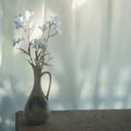 Hazel Jim - Facebook