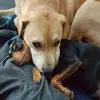 Jim Hearn - @jim.hearn82 - TikTok