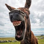 Jim Heath - Facebook
