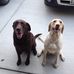 Jim Heberer - Facebook