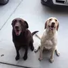 jimheberer792 - @jimheberer792 - TikTok