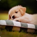Jim Hecht - @jim.hecht.77 - Instagram