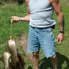 Bear Jim Hoffmann - @jimhoffmann2 - TikTok