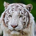 Jim Holden - @holden.funfilled - Instagram