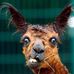 Jim Holley - Facebook