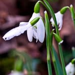 Jim Holt - @jimholt634 - Instagram