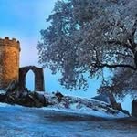 Jim Holt - @jim.holt.102 - Instagram