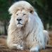 Jim Huskey - Facebook