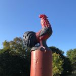 Jim ingalls - @thibaults_poultry_inc - Instagram