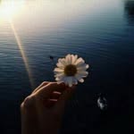 جيم آل سالم🎶 - @jimisom3_27 - Instagram
