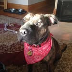 Jim Ives - @jives1263 - Instagram