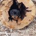 Jim Ives - Facebook