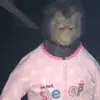 jimjam 👹🩷 - @jimjam6669 - TikTok