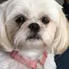 JimJean Medic-Garrett - @jimjean.medicgarr - TikTok
