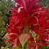 Jim Jhon - @jim.jhon67 - TikTok