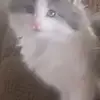 jimjhon - @jimjhon56 - TikTok