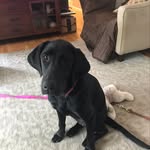 Jim Judson - @jimjudson4 - Instagram