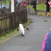 jim kang - @jim.kang - TikTok