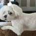 Jim Kauffman - Facebook
