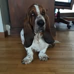 Jim Keegan - Facebook