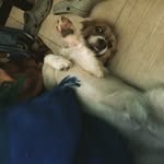 Jimkeither - @jimkeither - Instagram