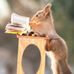 Jim Kelman - Facebook