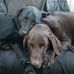 Jim Keyes - Facebook