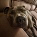 Jim Kimber - Facebook