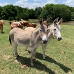 Jim Kimble - @thejimmyjack68 - Instagram