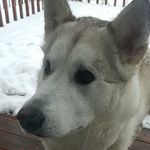 Jim Kolar - @jwkolar21 - Instagram