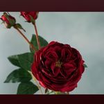 Kolar Jim - @kolarjimm - Instagram