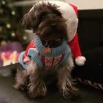 Jim kong - @jimkong22 - Instagram