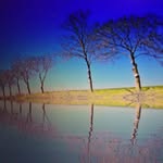 jim kong - @jimkongdum - Instagram