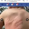 Jim Kong - @jimkong44 - TikTok