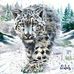 Jim Labbe - Facebook