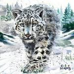 Jim Labbe - @labbe.jim - Instagram